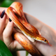 Image for article titled I Want to Become the Kind of Woman Who Throws Snakes at Her Pursuers